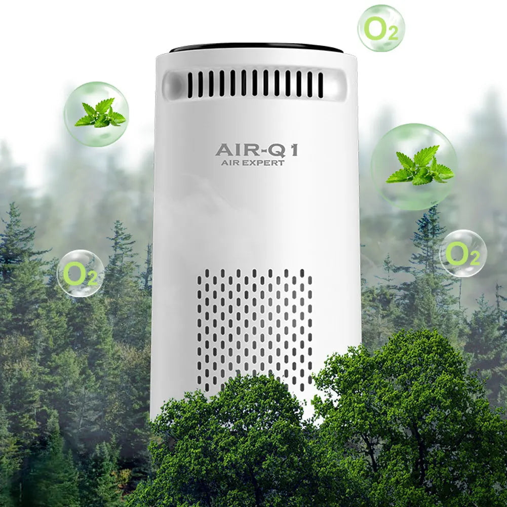 Purificateur d'air portable pour maison, voiture, purificateur d'air à ions négatifs pour la fumée, le pollen, désodorisant silencieux USB pour chambre, bureau, salon