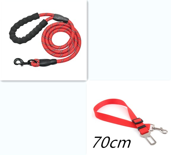 Laisse réfléchissante en nylon pour chien, idéale pour la marche, l'entraînement et la formation des petits et grands chiens.