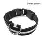 Collier lumineux LED en nylon pour chien et chat, sécurité nocturne, clignotant, brille dans le noir, laisse réglable, fournitures pour animaux de compagnie
