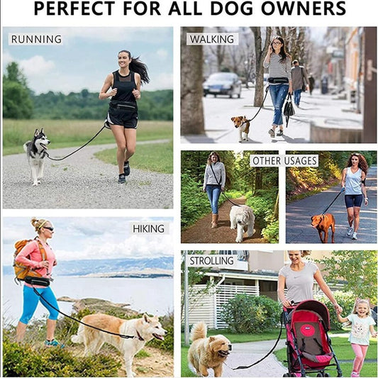 Laisse mains libres pour chien, ceinture de promenade et de dressage pour animaux de compagnie avec élastique absorbant les chocs, laisse pour grands chiens jusqu'à 82 kg, poche pour téléphone et porte-bouteille d'eau
