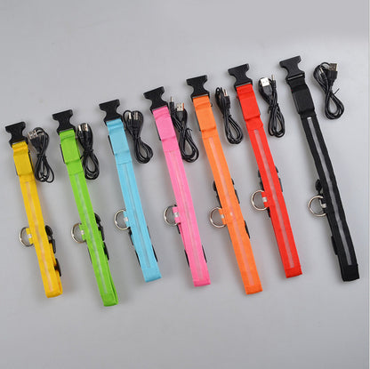 Collier lumineux LED en nylon pour chien et chat, sécurité nocturne, clignotant, brille dans le noir, laisse réglable, fournitures pour animaux de compagnie