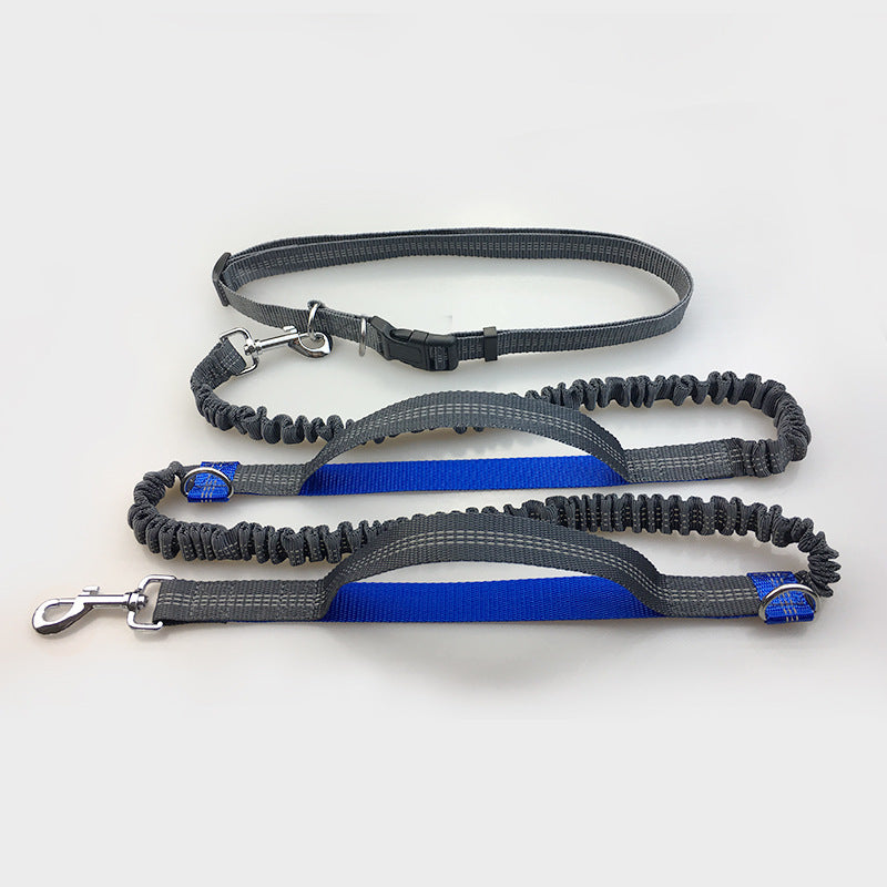 Laisse réfléchissante multifonction pour chien, accessoire de course pour animaux de compagnie, double élastique, traction