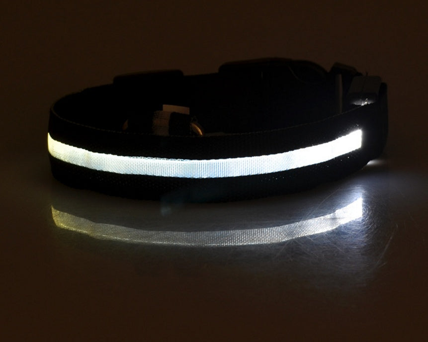 Collier lumineux LED en nylon pour chien et chat, sécurité nocturne, clignotant, brille dans le noir, laisse réglable, fournitures pour animaux de compagnie