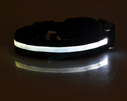 Collier lumineux LED en nylon pour chien et chat, sécurité nocturne, clignotant, brille dans le noir, laisse réglable, fournitures pour animaux de compagnie