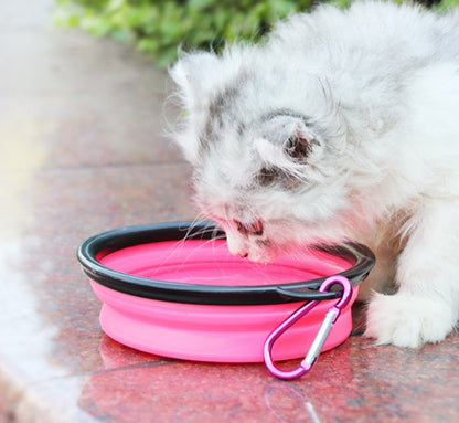 Distributeur d'eau 2 en 1 pour animaux de compagnie, bol portable en silicone pour voyage, pour chien et chat