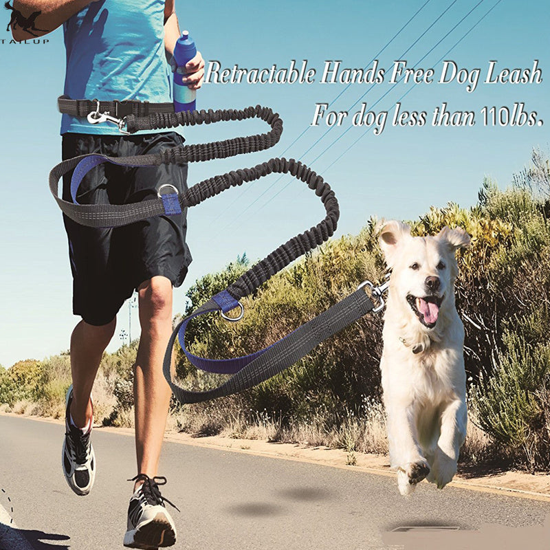 Laisse réfléchissante multifonction pour chien, accessoire de course pour animaux de compagnie, double élastique, traction