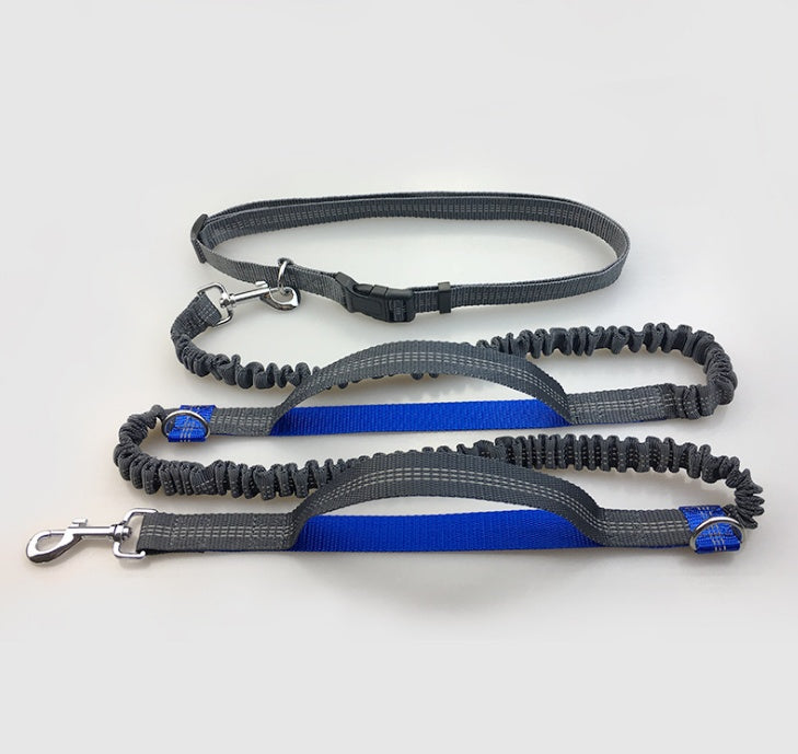 Laisse réfléchissante multifonction pour chien, accessoire de course pour animaux de compagnie, double élastique, traction