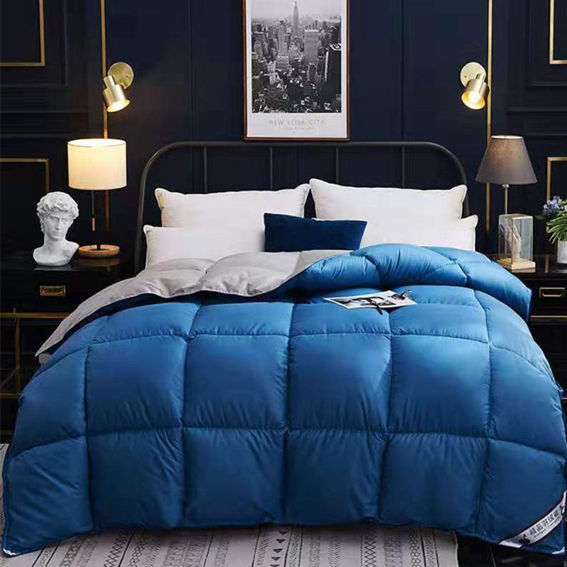 Couette en duvet, couette d'hiver, couette en duvet d'oie, climatiseur