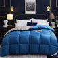 Couette en duvet, couette d'hiver, couette en duvet d'oie, climatiseur
