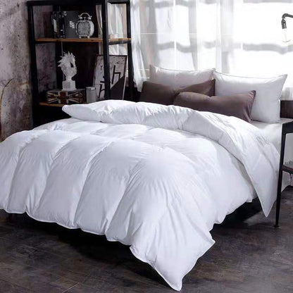 Couette en duvet, couette d'hiver, couette en duvet d'oie, climatiseur