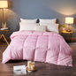Couette en duvet, couette d'hiver, couette en duvet d'oie, climatiseur