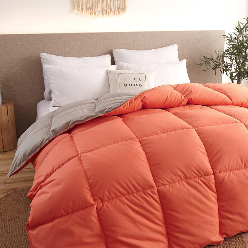 Couette en duvet, couette d'hiver, couette en duvet d'oie, climatiseur