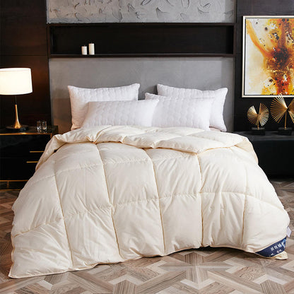 Couette en duvet, couette d'hiver, couette en duvet d'oie, climatiseur