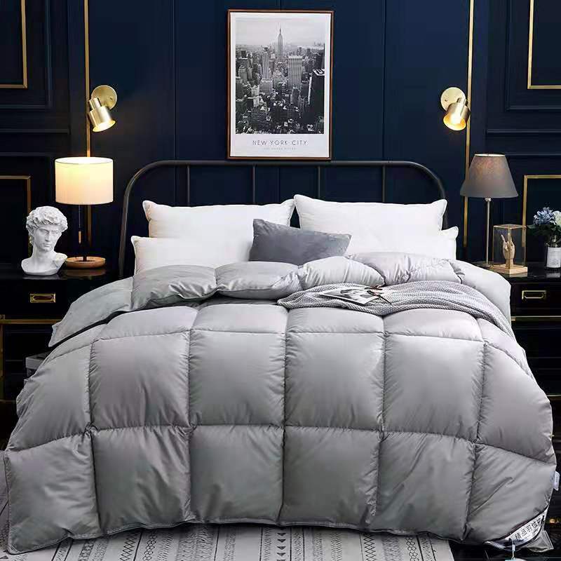 Couette en duvet, couette d'hiver, couette en duvet d'oie, climatiseur