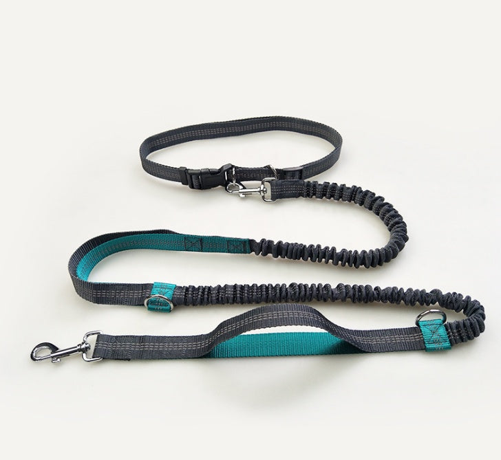 Laisse réfléchissante multifonction pour chien, accessoire de course pour animaux de compagnie, double élastique, traction