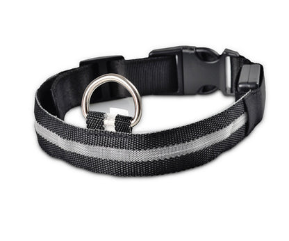 Collier lumineux LED en nylon pour chien et chat, sécurité nocturne, clignotant, brille dans le noir, laisse réglable, fournitures pour animaux de compagnie