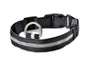 Collier lumineux LED en nylon pour chien et chat, sécurité nocturne, clignotant, brille dans le noir, laisse réglable, fournitures pour animaux de compagnie
