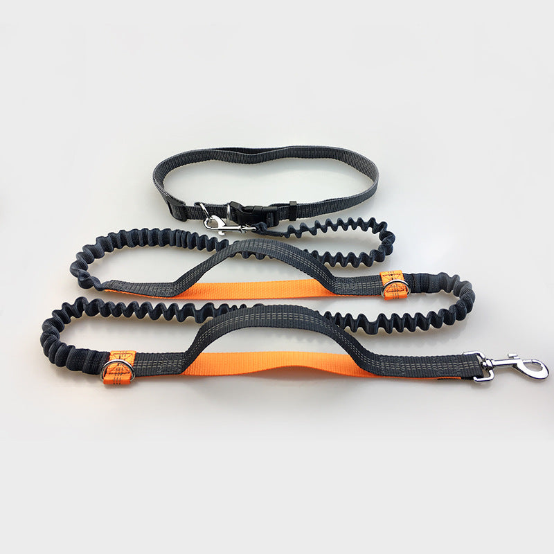 Laisse réfléchissante multifonction pour chien, accessoire de course pour animaux de compagnie, double élastique, traction
