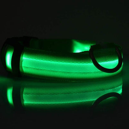 Collier lumineux LED en nylon pour chien et chat, sécurité nocturne, clignotant, brille dans le noir, laisse réglable, fournitures pour animaux de compagnie