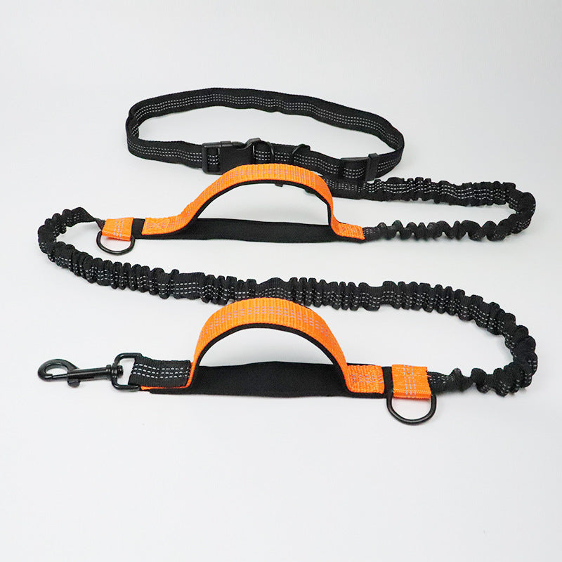 Laisse réfléchissante multifonction pour chien, accessoire de course pour animaux de compagnie, double élastique, traction