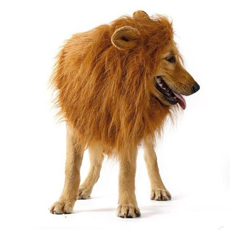 Costume de cosplay pour animal de compagnie, mignon, crinière de lion, perruque chaude d'hiver, décoration de fête pour chat et chien, avec oreilles
