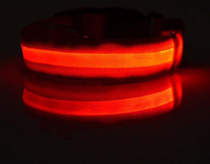 Collier lumineux LED en nylon pour chien et chat, sécurité nocturne, clignotant, brille dans le noir, laisse réglable, fournitures pour animaux de compagnie