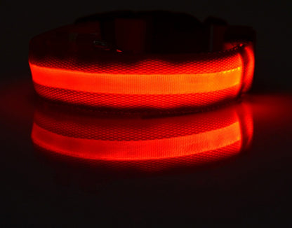 Collier lumineux LED en nylon pour chien et chat, sécurité nocturne, clignotant, brille dans le noir, laisse réglable, fournitures pour animaux de compagnie