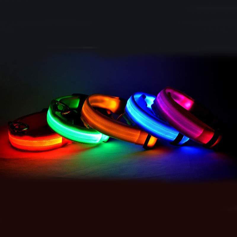 Collier lumineux LED en nylon pour chien et chat, sécurité nocturne, clignotant, brille dans le noir, laisse réglable, fournitures pour animaux de compagnie