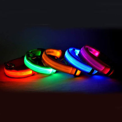 Collier lumineux LED en nylon pour chien et chat, sécurité nocturne, clignotant, brille dans le noir, laisse réglable, fournitures pour animaux de compagnie