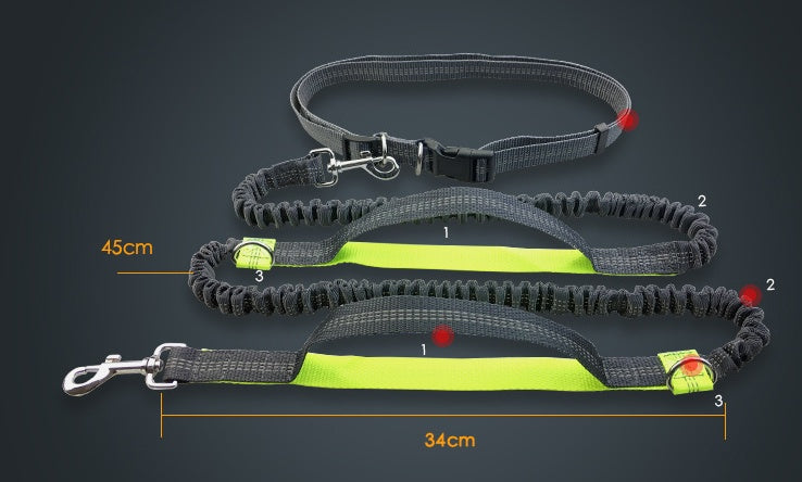 Laisse réfléchissante multifonction pour chien, accessoire de course pour animaux de compagnie, double élastique, traction