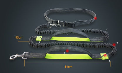 Laisse réfléchissante multifonction pour chien, accessoire de course pour animaux de compagnie, double élastique, traction