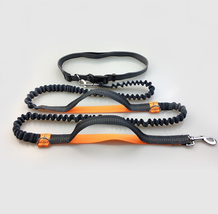 Laisse réfléchissante multifonction pour chien, accessoire de course pour animaux de compagnie, double élastique, traction