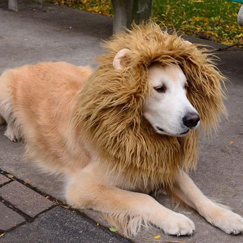 Costume de cosplay pour animal de compagnie, mignon, crinière de lion, perruque chaude d'hiver, décoration de fête pour chat et chien, avec oreilles
