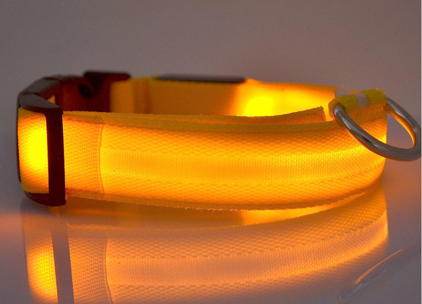 Collier lumineux LED en nylon pour chien et chat, sécurité nocturne, clignotant, brille dans le noir, laisse réglable, fournitures pour animaux de compagnie