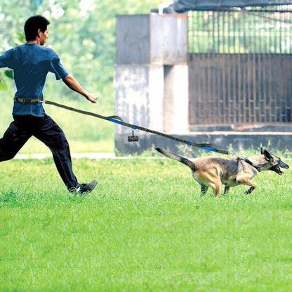 Laisse réfléchissante multifonction pour chien, accessoire de course pour animaux de compagnie, double élastique, traction