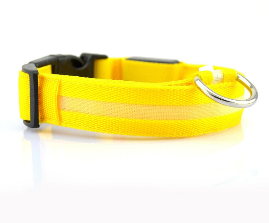 Collier lumineux LED en nylon pour chien et chat, sécurité nocturne, clignotant, brille dans le noir, laisse réglable, fournitures pour animaux de compagnie