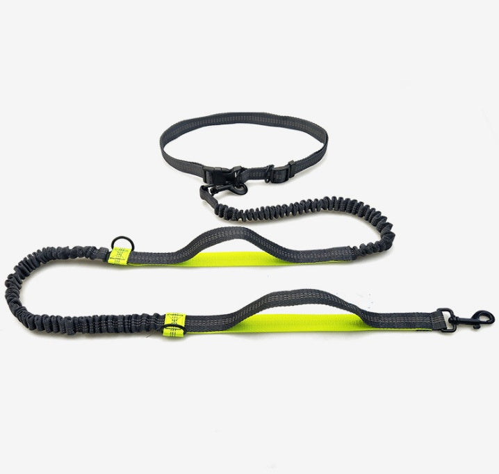 Laisse réfléchissante multifonction pour chien, accessoire de course pour animaux de compagnie, double élastique, traction