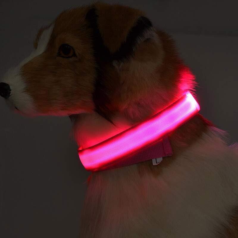 Collier lumineux LED en nylon pour chien et chat, sécurité nocturne, clignotant, brille dans le noir, laisse réglable, fournitures pour animaux de compagnie