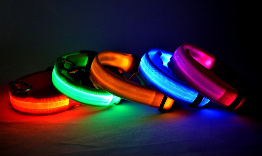 Collier lumineux LED en nylon pour chien et chat, sécurité nocturne, clignotant, brille dans le noir, laisse réglable, fournitures pour animaux de compagnie