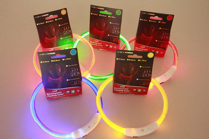 Collier lumineux pour animaux de compagnie, rechargeable par USB, collier de sécurité lumineux pour promenade nocturne, collier électrique pour chien, néon
