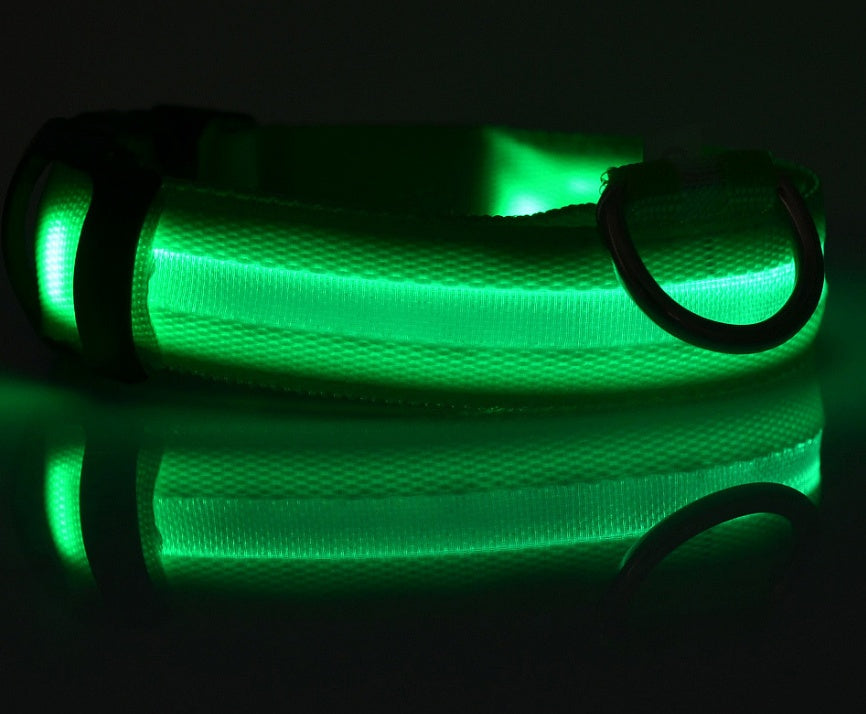 Collier lumineux LED en nylon pour chien et chat, sécurité nocturne, clignotant, brille dans le noir, laisse réglable, fournitures pour animaux de compagnie