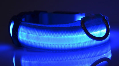Collier lumineux LED en nylon pour chien et chat, sécurité nocturne, clignotant, brille dans le noir, laisse réglable, fournitures pour animaux de compagnie