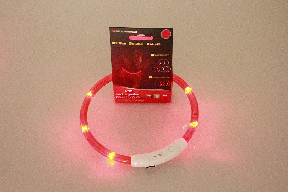 Collier lumineux pour animaux de compagnie, rechargeable par USB, collier de sécurité lumineux pour promenade nocturne, collier électrique pour chien, néon