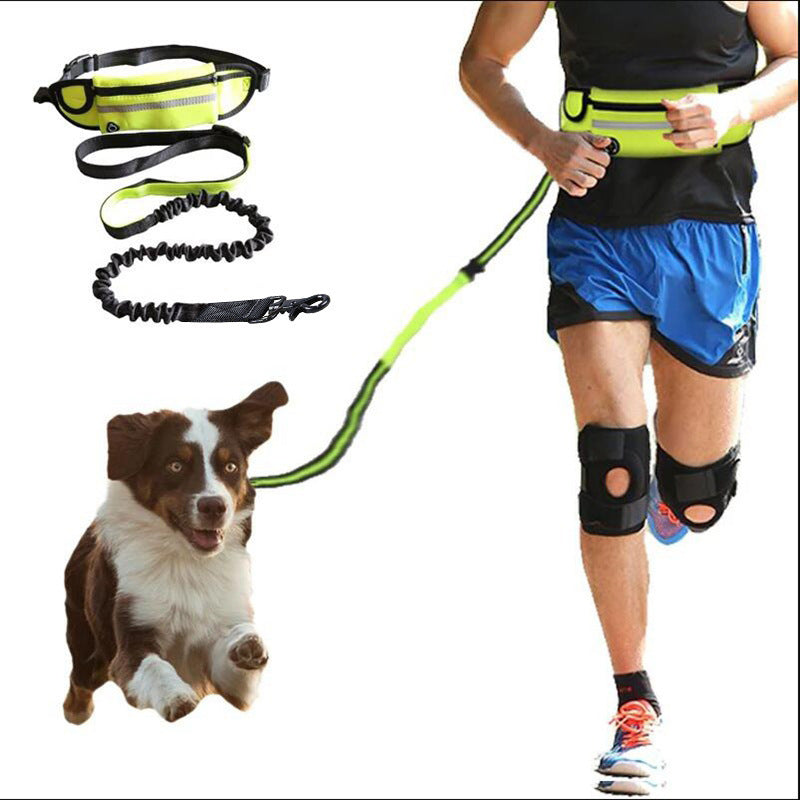 Laisse mains libres pour chien, ceinture de promenade et de dressage pour animaux de compagnie avec élastique absorbant les chocs, laisse pour grands chiens jusqu'à 82 kg, poche pour téléphone et porte-bouteille d'eau