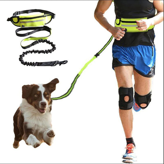 Laisse mains libres pour chien, ceinture de promenade et de dressage pour animaux de compagnie avec élastique absorbant les chocs, laisse pour grands chiens jusqu'à 82 kg, poche pour téléphone et porte-bouteille d'eau
