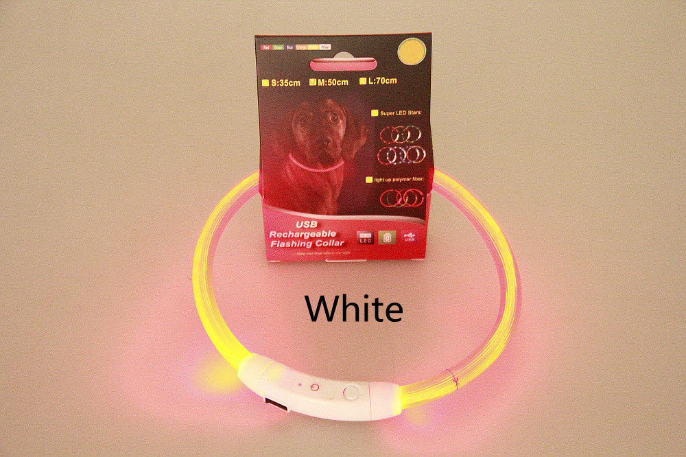 Collier lumineux pour animaux de compagnie, rechargeable par USB, collier de sécurité lumineux pour promenade nocturne, collier électrique pour chien, néon