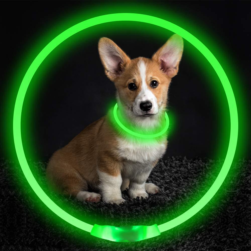 Collier lumineux pour animaux de compagnie, rechargeable par USB, collier de sécurité lumineux pour promenade nocturne, collier électrique pour chien, néon