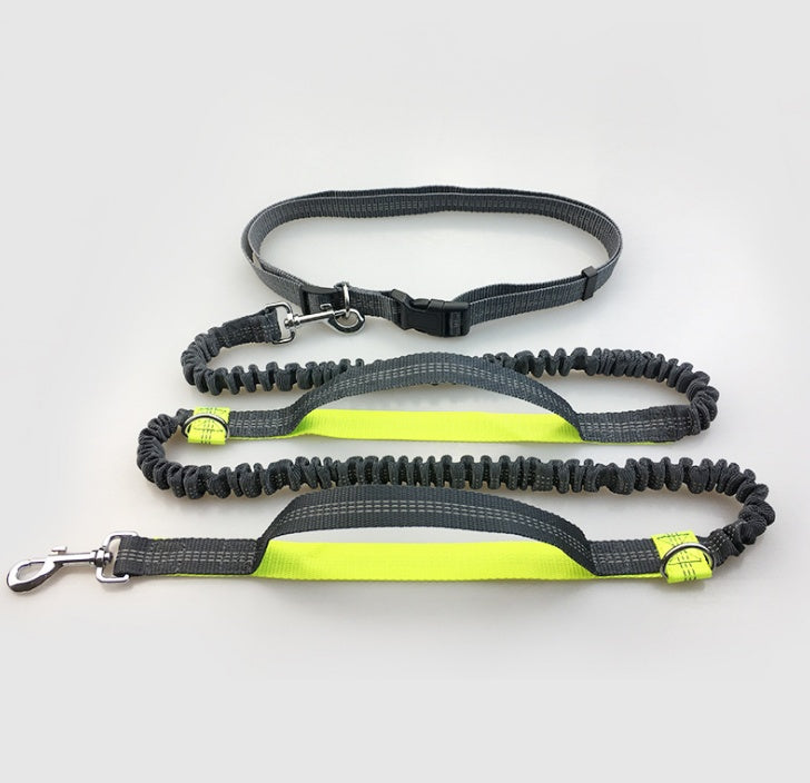 Laisse réfléchissante multifonction pour chien, accessoire de course pour animaux de compagnie, double élastique, traction