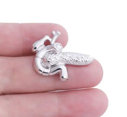 Best Pancreas Pin Badge Anatomy Medical Doctors Nurse Gift Gold Color Lapel Pin Metal An Exquisite Brooch Classic Jewelry Women
