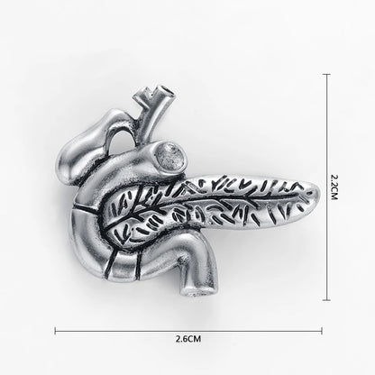 Best Pancreas Pin Badge Anatomy Medical Doctors Nurse Gift Gold Color Lapel Pin Metal An Exquisite Brooch Classic Jewelry Women